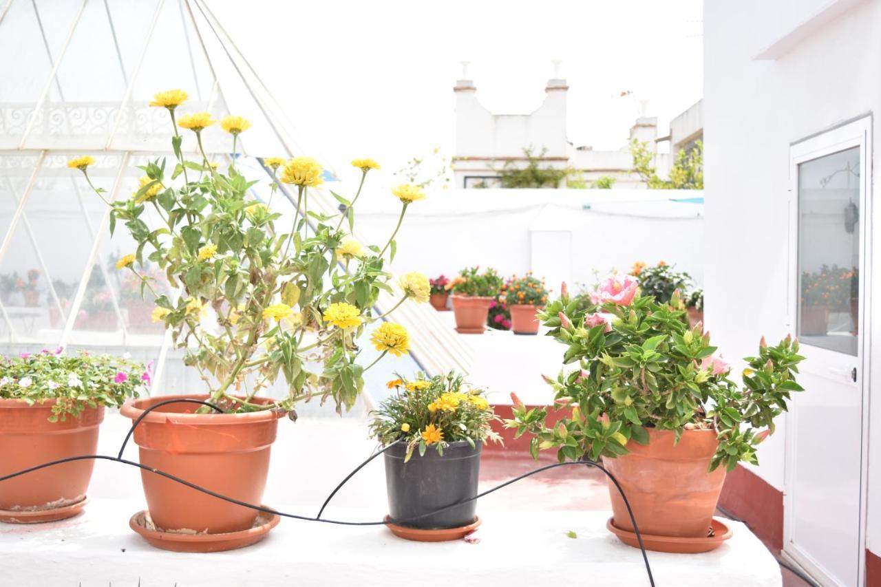 Apartamentos Veedor Cádiz Exteriör bild