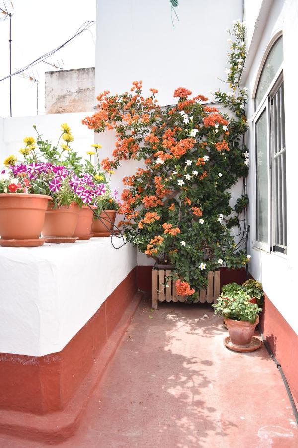 Apartamentos Veedor Cádiz Exteriör bild